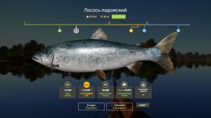Русская Рыбалка 4-9 лет Задания: Лосось ладожский не менее 4 кг р. Волхов