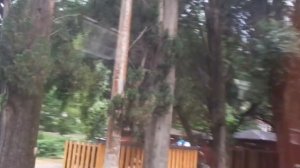 По дороге к озеру Рица. Абхазия