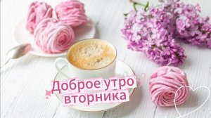 Доброе утро вторника: хорошего дня и прекрасного настроения
