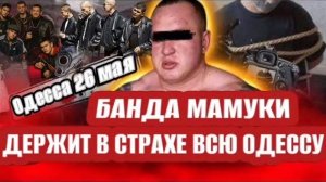 Одесса - БАНДА ВСЕХ ДЕРЖИТ В СТРАХЕ! ОДЕССИТЫ УЗНАЛИ ПРАВДУ! ! (Иностранное мнение)NEMO