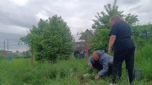 Video. Посадка , копка , всё навалилось ...