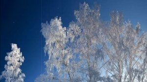 Берёзы - Владимир Мещеряков(авторы песни И.Матвиенко и М.Андреев)