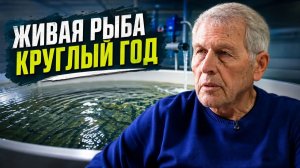 РЫБНАЯ ФЕРМА В ЧАСТНОМ ДОМЕ | ФОРЕЛЬ ПО СИСТЕМЕ УЗВ | ОТ СОХИ ДО СОХИ