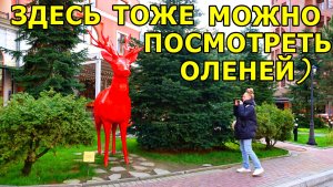 АТМОСФЕРА НА КРАСНОЙ ПОЛЯНЕ ОТМ. 540. ШЛИ КУДА-ТО НЕ ТУДА И РЕШИЛИ ДО ЖД ВОКЗАЛА ПОЕХАТЬ НА ТАКСИ.