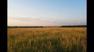 Вальтерс КОТ_Когда я закрываю глаза