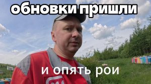 !!!БУДНИ ПЧЕЛОВОДА!!!пришли обновки или снова рои #пчеловодство #топ