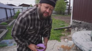 Мама сказала сажать больше картошки Что я и сделал Сибирские будни 40-ка летнего мужика