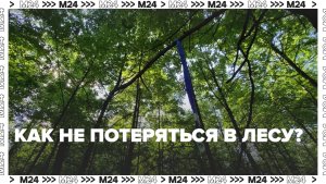 Что делать, если потерялся в лесу? — Москва 24 | Контент