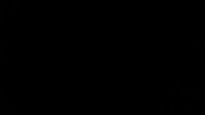 1000001079.mp4