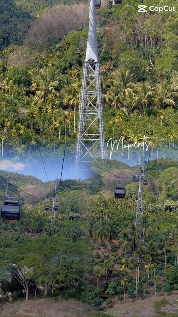 КИТАЙ Тропический лес «Янода» (Yanoda Rainforest) смотреть онлайн