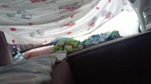 Мими клювы нападение но база