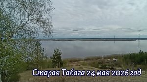 Старая Табага. 24 мая 2026 год