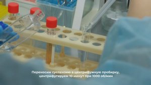 Культура клеток