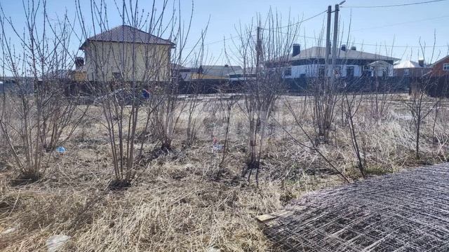 3633370 смотреть онлайн