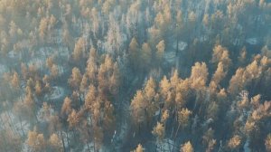 ПОЖАР В ЧЕРНОБЫЛЕ