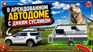 Выезд на АРЕНДОВАННОМ доме на колесах с ДИКИМ СУСЛИКОМ на Haval H5