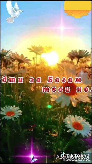 VID-20260526-WA0069.mp4 смотреть онлайн