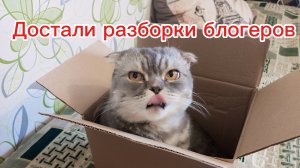 ВЛОГ. И НЕМНОГО О БЛОГЕРСКИХ РАЗБОРКАХ 🙈
