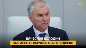 Вячеслав Володин «об аресте имущества негодяев»