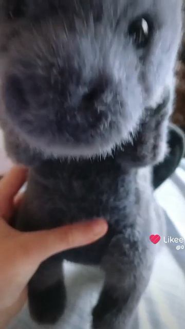 1000027487.mp4 смотреть онлайн
