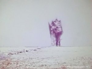 1987 год. Нефтеюганский район. Взрывы в промышленных целях