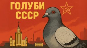 Голубятни в СССР Хобби, объединившее миллионы советских граждан