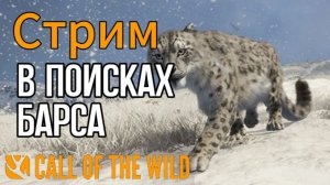 Охота на снежного Барса в theHunter: Call of the Wild