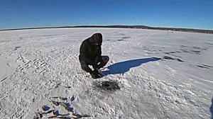 Зимняя рыбалка на озере Иван Чита.