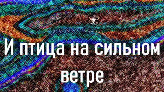 И птица на сильном ветре....Маргарита Кучукова