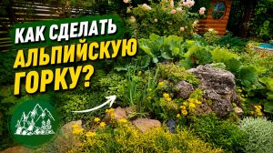 АЛЬПИЙСКАЯ ГОРКА / Своими руками / ВЕРНЫЙ МЕТОД!