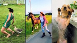 Смешные видео с животными 😂 Самые смешные кошки 🐈 и собаки 🐕 2026 года