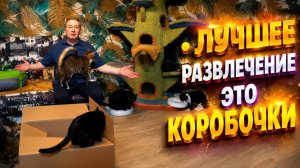 Лучшее развлечение это коробочки.