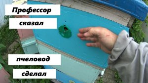 Работаем с пчелами как прфессора.