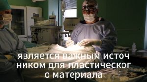Планирование ринопластики Хирург Мрочко Игорь Владимирович
