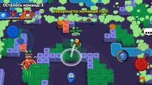 играю в бравл за диномайка