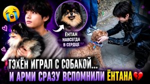 🐻💔 Тэхён снова напомнил всем о Ёнтане… Арми не смогли сдержать слёзы