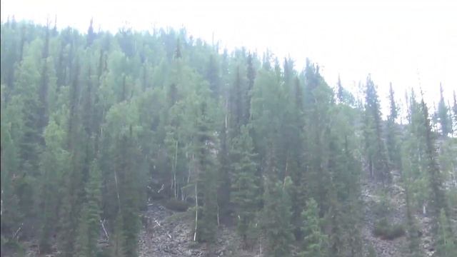 Самые Крутые Таёжные Места для Рыбалки и охоты. Лучшая Рыбалка 2026 на RUTUBE Онлайн