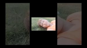 видео про дерева!!!!