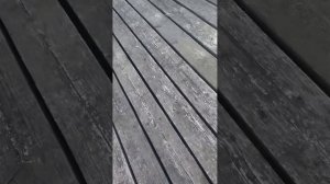 ДИНОПРОГУЛКА! наконец то!!(ребята извините видимо камера отключилась а так видео было больше😢