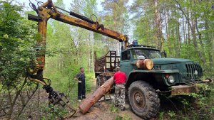 УРАЛ Лесовоз по низу рынка. Это было на грани...