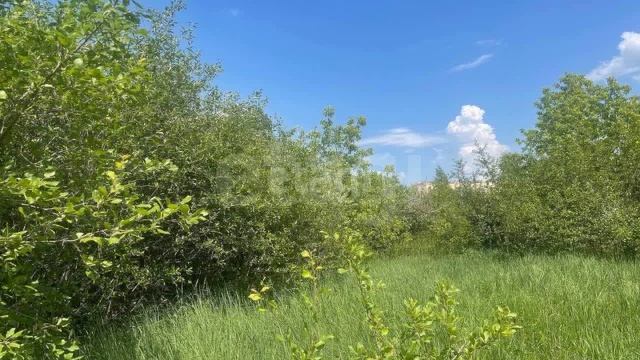 9946917 смотреть онлайн