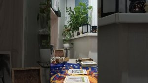 Карта дня
