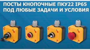 Посты ПКУ-22 IP65