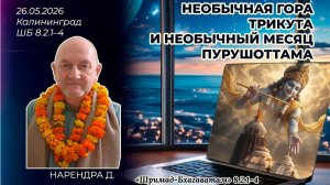 Необычная гора Трикута и необычный месяц Пурушоттама. Нарендра д. «Шримад-Бхагаватам» 8.2.1–4