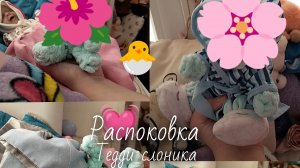 🎀Распаковка Тедди слоника 🧸🐘🎀