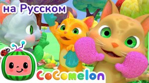 Котятки и перчатки _ НОВАЯ СЕРИЯ _ CoComelon на русском — Детские песенки _ Мультики для детей
