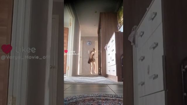 влог с 9 мая!! что влог 3 дня?!?! да да смотреть онлайн