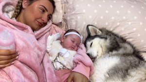 From My Husky Taking Care Of My Baby, To My Baby Taking Care Of My Husky!😭🥰.