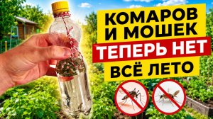 Забыл про Комаров и Мошек на участке в огороде и саду! Фумигатор от комаров и мошек своими руками