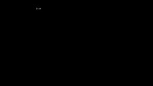 4005.mp4